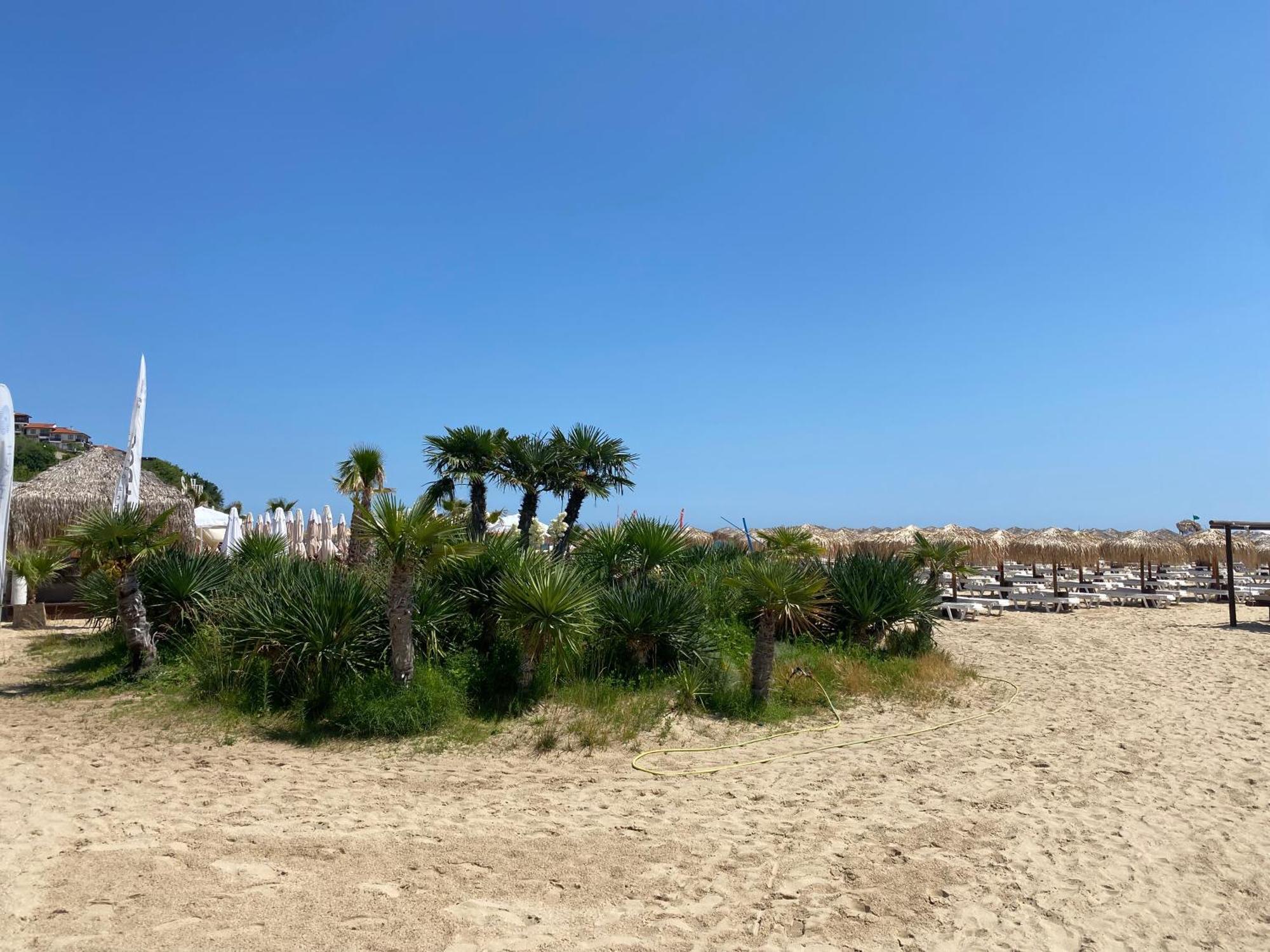 Marina Bay 22 Apartment Sveti Vlas Εξωτερικό φωτογραφία